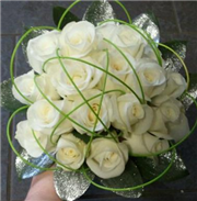 Compact White Rose and Looped Midollino Sticks